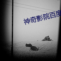 神奇影院百度影音