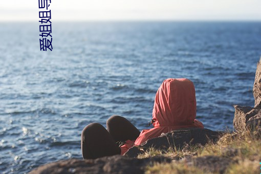 爱姐(姐)姐导(導)航