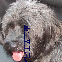 重生圣王后宫行