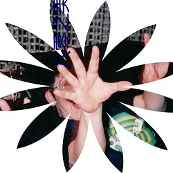 八零之美人如蜜 （绸缪未雨）