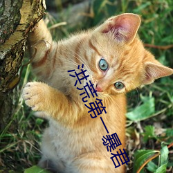 尊龙凯时人生就是搏(中国区)官方网站