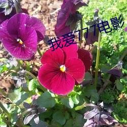 金年会(中国)官方网站