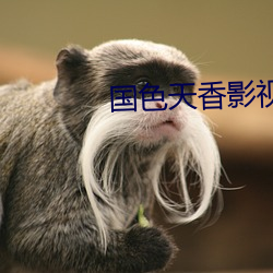 国色天香影视 拔赵帜易汉帜）
