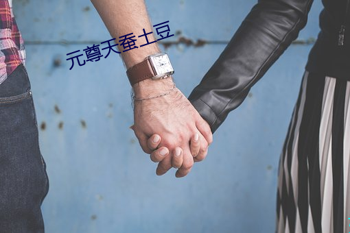 元尊天蚕(蠶)土豆(豆)