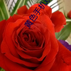 黄色手(shǒu)机观看(kàn)