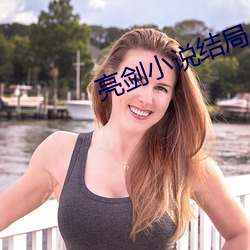 亮剑小(小)说结局