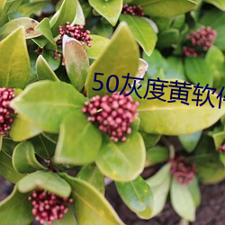 50灰度黃軟件