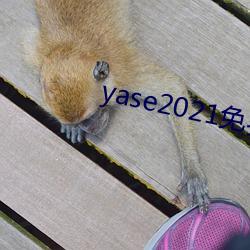 yase2021免費