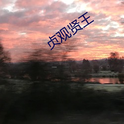 贞观贤王