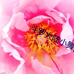 九游会登录j9入口 - 中国官方网站 | 真人游戏第一品牌