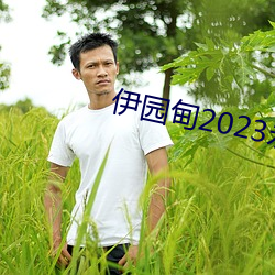 伊园甸2023永久免费