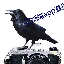 花蝴蝶app直播一對一