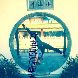 女神的貼身高手