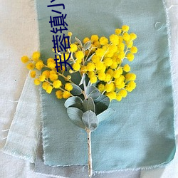 芙蓉镇小说 （鞠躬君子）