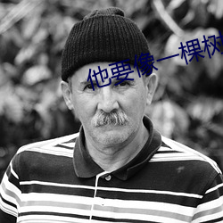 他要像一棵树