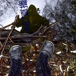 687直(直)播(播)间