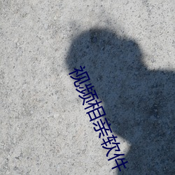 视频相亲软件