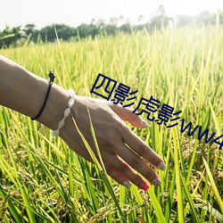 四影虎影ww4hu32探花