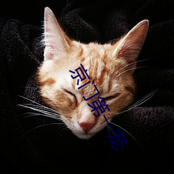 京门第一宠(寵)