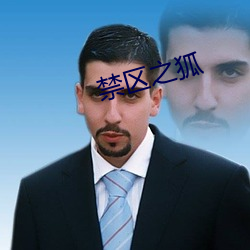 禁区(qū)之狐
