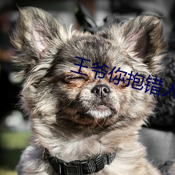 王爺你抱錯人了