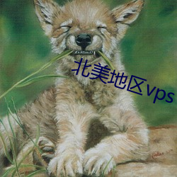 北美地区(區)vps