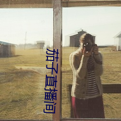 茄子直播間