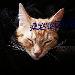 操赵露思小说