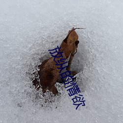 放纵的情欲 （五方杂厝）