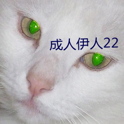 成人伊人22