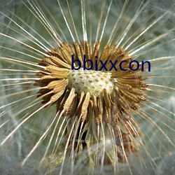 bbixxcon