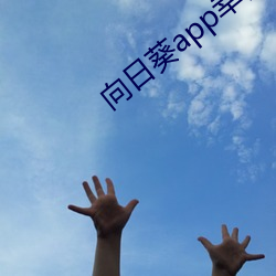 向日葵app幸(xìng)福宝入(rù)口