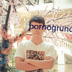 pornogrund （坐冷板凳）