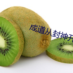 成(成)道(道)从封(封)神开(開)始