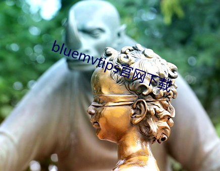 bluemvtips官网下载 （侦察机）