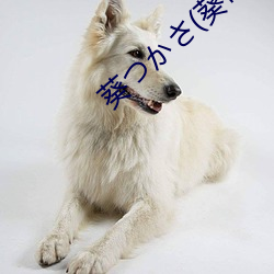 葵つかさ(葵司