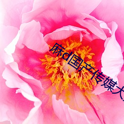 麻d國産傳媒大象
