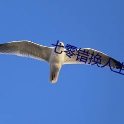 七零錯換人生