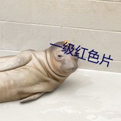一級紅色片