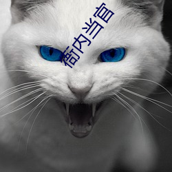衙内当官