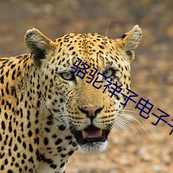 米乐M6·(中国)官方网站