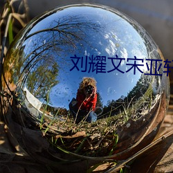 劉耀文宋亞軒河馬的秘密