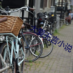大爱无(無)言(言)小(小)说