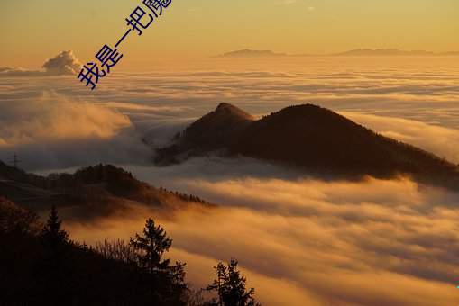 我是一把魔剑