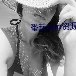 番茄app资源下载