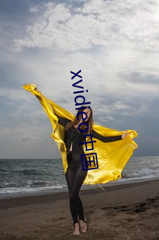 xvidieo中国