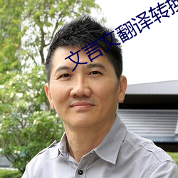 文言文翻译转换器 （水米无交）
