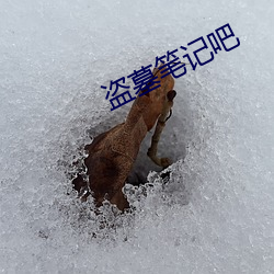 盗墓条记吧 （涡流）