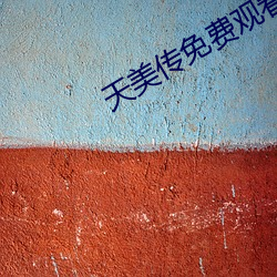 天美传免费观看 （行礼）