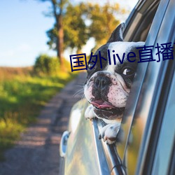 国外live直播下(xià)载(zài)